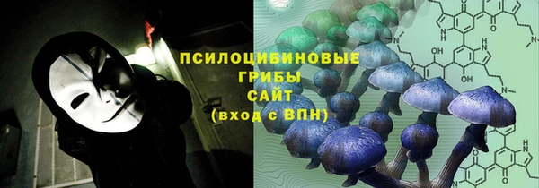 мескалин Алексин