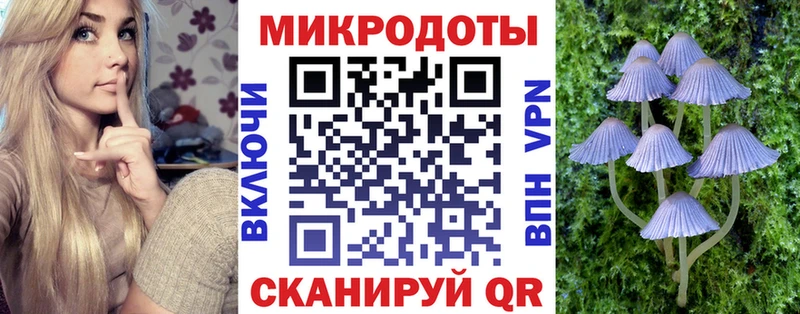 Галлюциногенные грибы Psilocybe  Задонск 